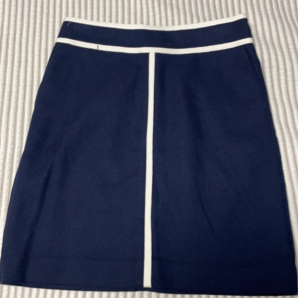Petite Ann Tailor  skirt